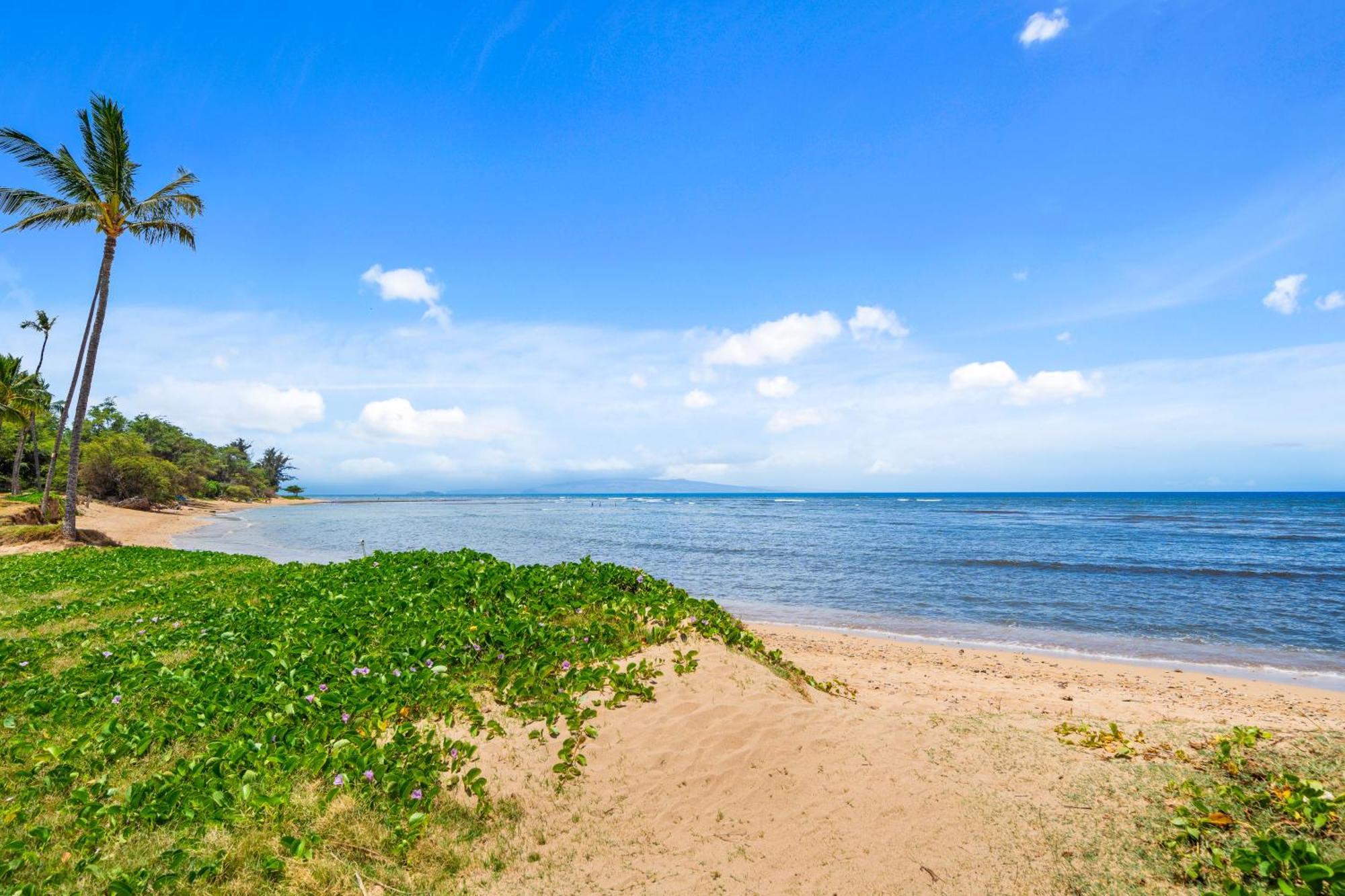 Maui Schooner Resort Kihei Exterior foto